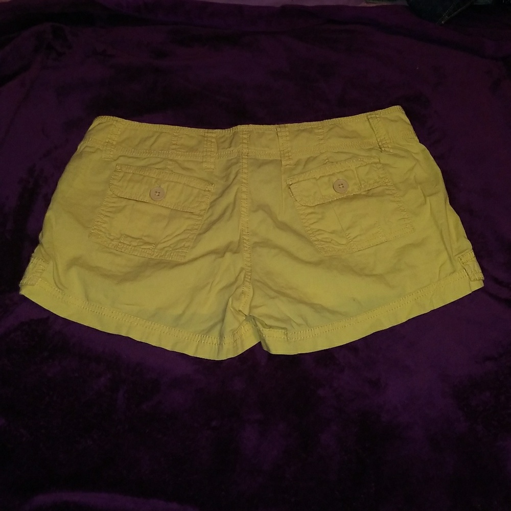 American Rag Shorts. - Picture 3 of 3